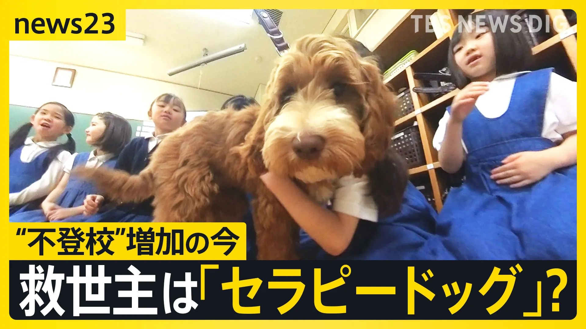 新入生は「セラピードッグ」…苦手を乗り越える子犬と子どもたちの1か月　言葉をこえた交流に密着【news23】