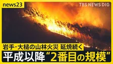 「全然寝られない」岩手・大槌の山林火災　延焼続き平成以降“２番目の規模”に　牛舎が燃えた畜産家は牛残せぬ苦悩も【news23】
