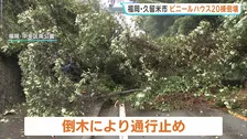 「木が道路を塞いでいて」福岡・筑後地方と佐賀南部でも線状降水帯　1時間50ミリ以上の雨 久留米市ではビニールハウス20棟が倒壊