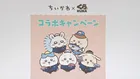 くら寿司「ちいかわ」コラボキャンペーンを急きょ中止　従業員による景品の横領が判明　キャンペーン後のフリマへの大量出品で調査