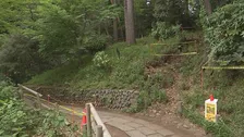東京・杉並区「善福寺公園」で高さ30ｍのクヌギが倒木　2月の点検で「要注意」と判断　けが人なし