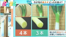 ネギの頭は3本・4本どっちがおいしい？プロはここを見る！白菜・大根 冬野菜の目利き術【ひるおび】
