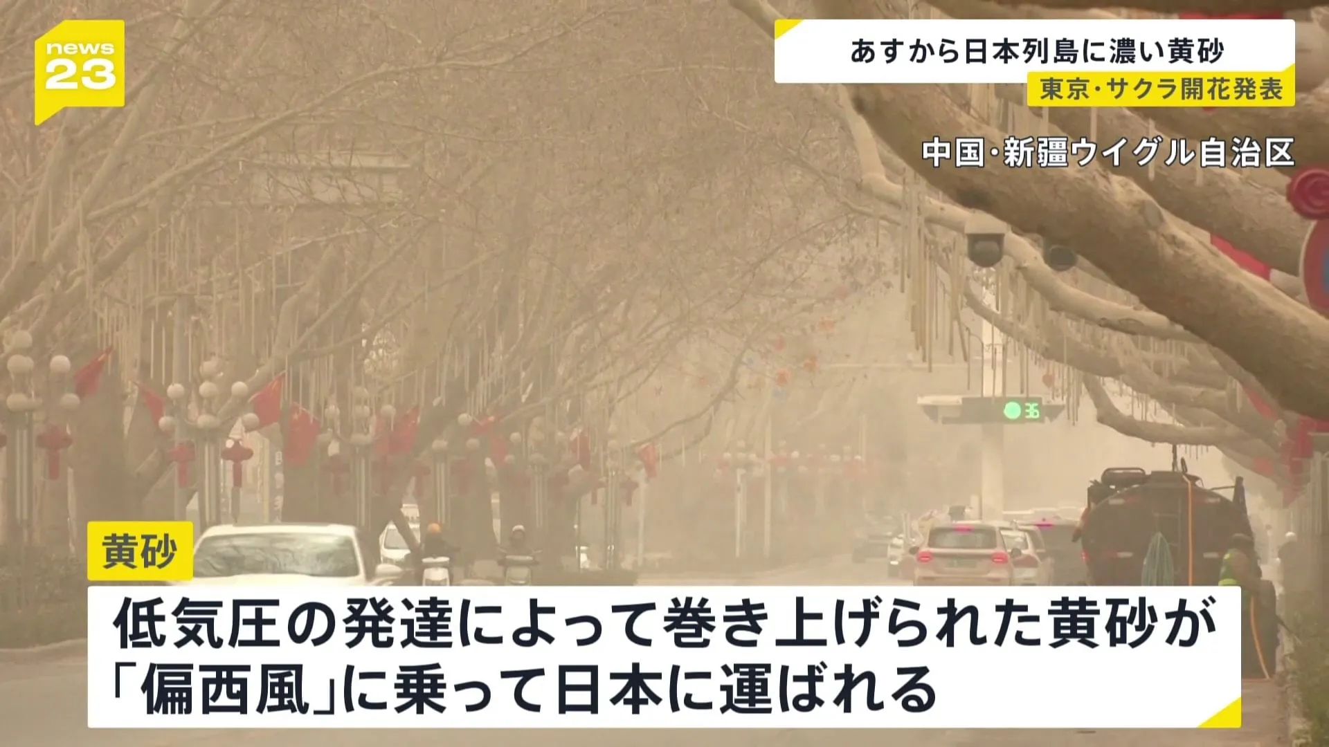 濃い黄砂が日本に接近中　今年は降水量が少なく飛散しやすい状況に…東京ではサクラの開花発表も　森田予報士解説【news23】