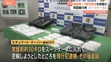 覚醒剤約30キロ末端価格17億円相当をスーツケースに入れ密輸か イギリス国籍の男(61)逮捕・起訴