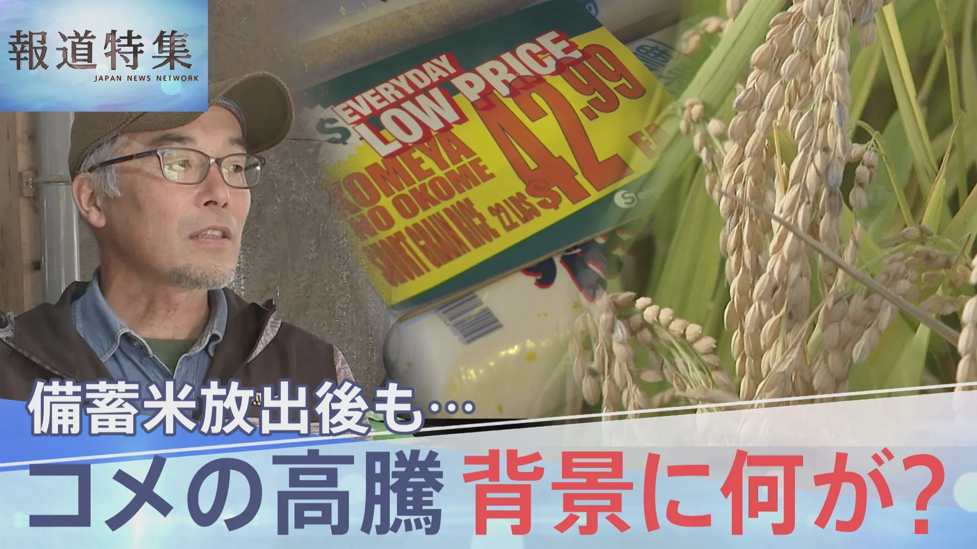 備蓄米放出後も…コメ高騰、農家が抱く危機感「農家数が減少、農村守る政策を」 卸売業者「JA全農が用意できないという話」【報道特集】