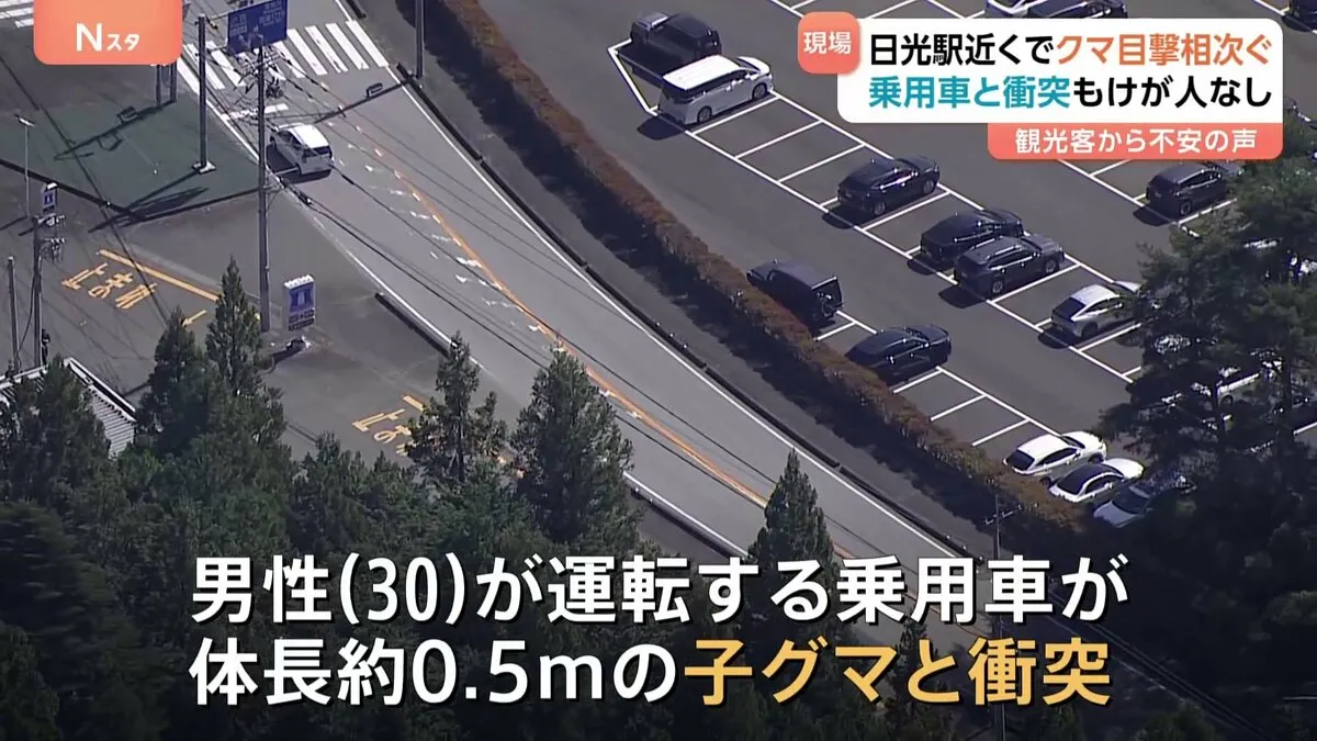 栃木・日光に“サル”ではなく“クマ” 「人が多いところにも出るとは…」秋の行楽シーズンに親子グマなど目撃相次ぐ