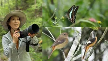 【 磯野貴理子 】　ジョウビタキやミズタマソウ捉えた秋のショット公開　「ゆっくり投稿していきます。よい秋を」にファン反響