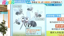 4月の天気で“好条件” 今年は「蚊」が大量発生！？【ひるおび】