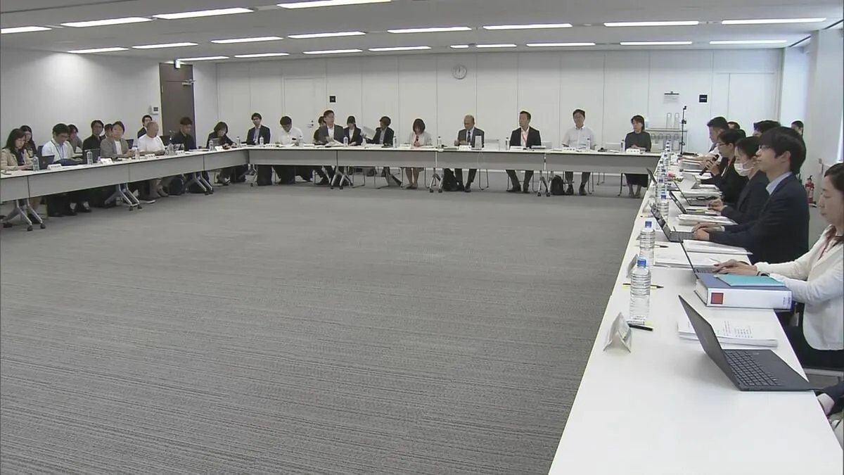 性犯罪歴確認する「日本版DBS」導入に向けたとりまとめ案 有識者検討会で示される こども性暴力防止法 こども家庭庁
