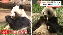 「楽しい“パン生”を送って」双子パンダ「シャオシャオ」「レイレイ」中国へ 最後の観覧に別れ惜しむファンは涙