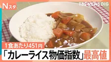 カレーライス1食あたり451円　コメも肉も根菜も高い…「カレーライス物価指数」過去最高値更新　お得な野菜は？
