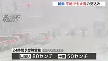「家から出られないかと思った」日本海側中心に大雪　新潟では24時間に最大80センチの降雪予想　警戒呼びかけ