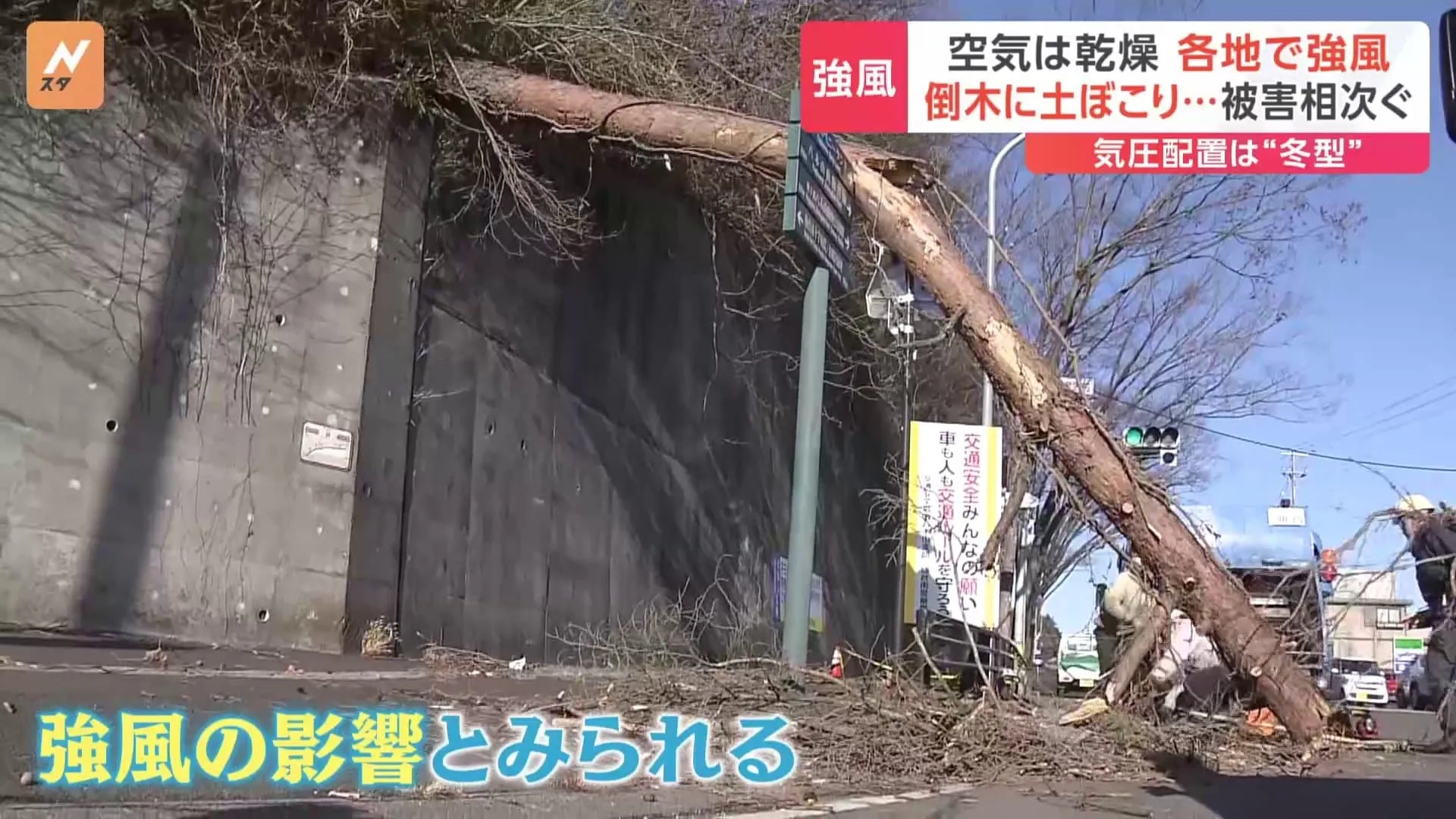 視界をふさぐ砂煙に倒木…13日は各地で強風、影響広がる