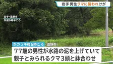 「クマに襲われた」田んぼ水路で作業中の男性（77）がクマ3頭と鉢合わせ　成獣とみられるクマに襲われけが　岩手・遠野市