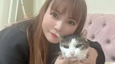 最長老猫、虹の橋を渡る【 中川翔子 】愛猫・らいちゃんに〝天国でみんなと集合できるといいね〟〝まだまだずーっと生きて欲しかった〟悲しみを綴る