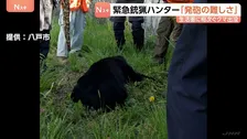 「弾が外れると飛んでいく」青森県で初の緊急銃猟　猟友会のハンターが語る“発砲の難しさ”　生活圏に相次ぐクマ出没