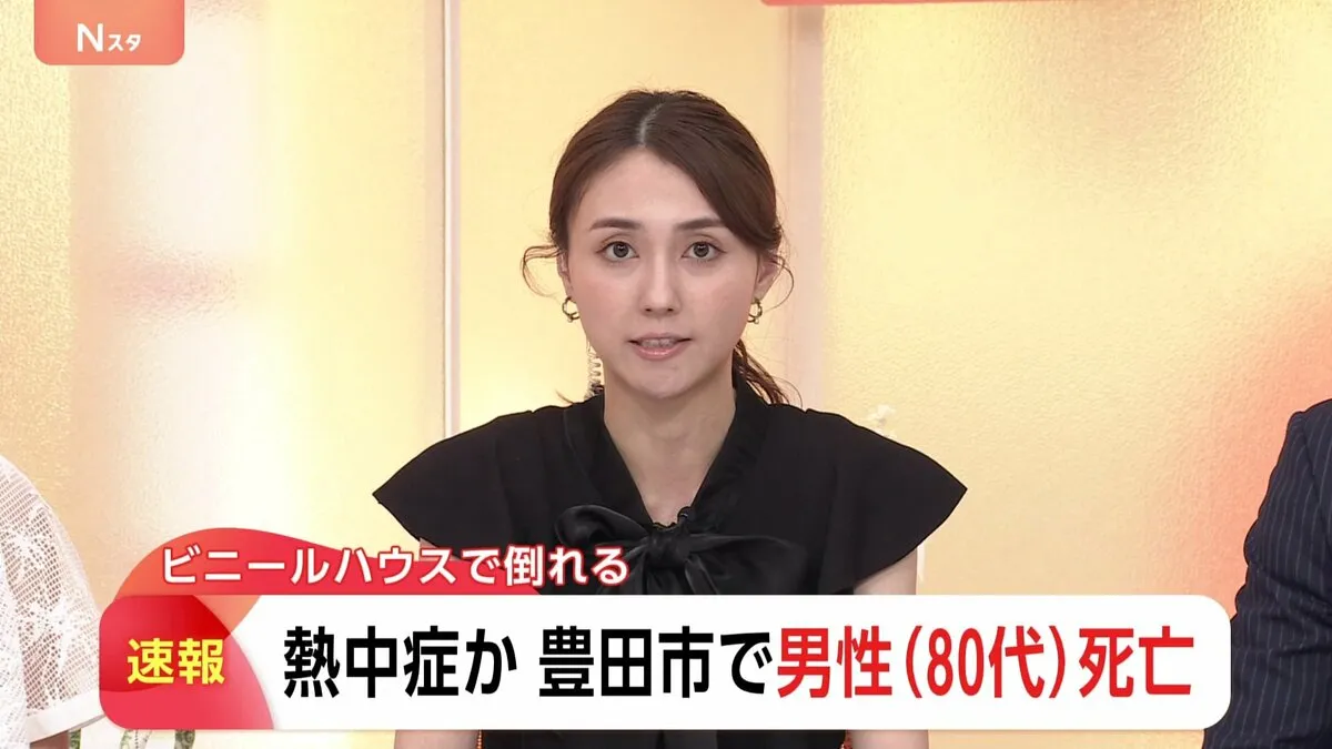 ビニールハウス内で倒れているの見つかる　愛知・豊田市で80代男性が熱中症の疑いで搬送され死亡　最高気温32度で今年一番の暑さ