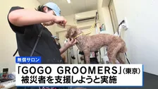 無償でトリミングも　被災したペットを支援する動き広がる　熊本地震の発生から4週間