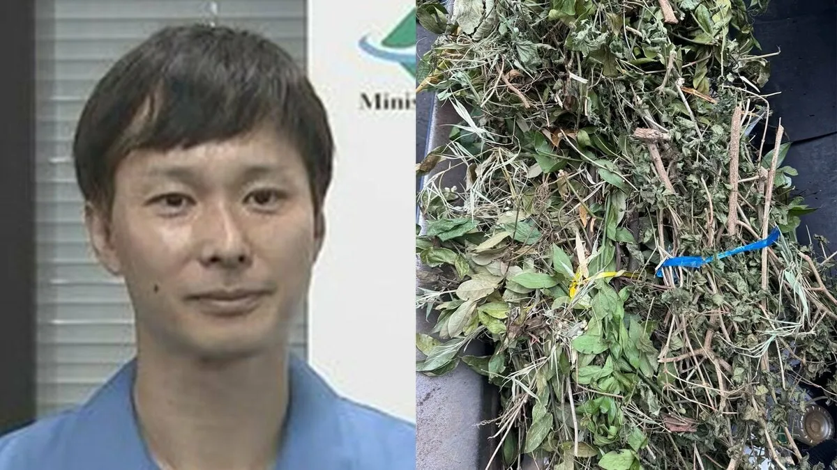 【ごみ清掃芸人】　「夏に向けて剪定された枝・葉が多く出ますが、少し乾燥させてくれると助かります」　【マシンガンズ滝沢】