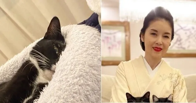 【藤あや子】愛猫マルが ”ホラーな目つき” フォロワー共感の嵐で猫写真投げ合い