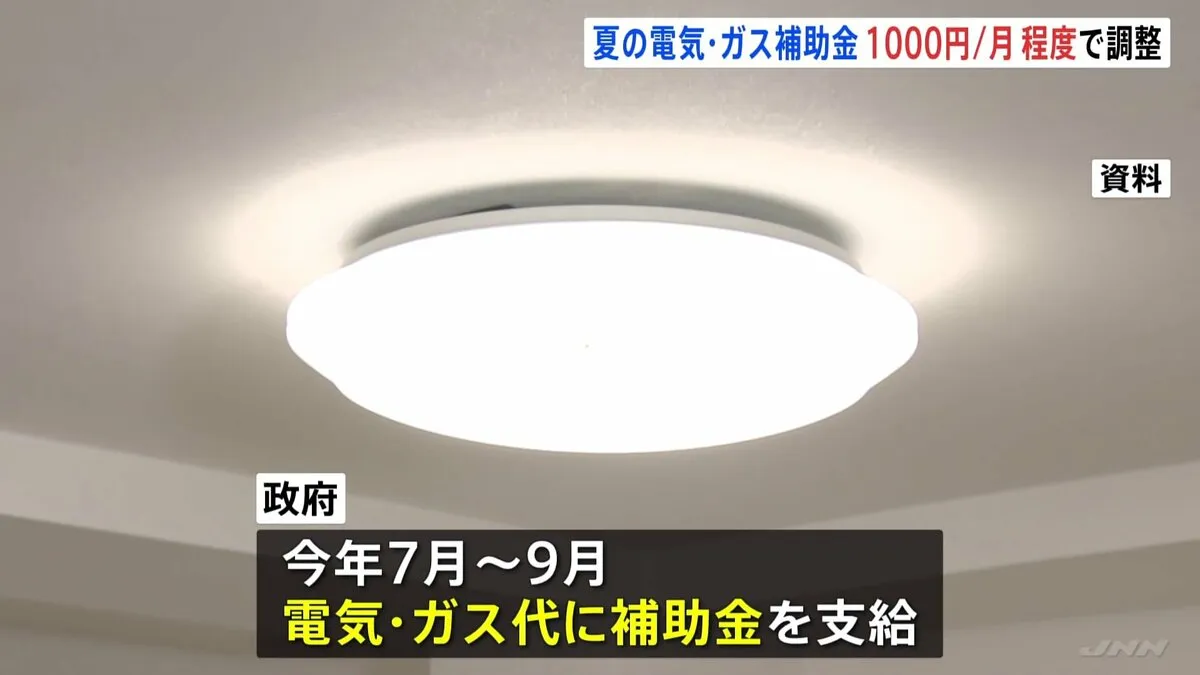 電気・ガス代に月1000円程度補助で政府が調整　4月はコメ高騰・食品値上げラッシュで物価高が再加速