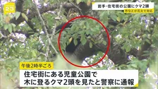 住宅街の児童公園に親子とみられるクマ2頭　市と猟友会が追い払い試みるも…　岩手・盛岡市