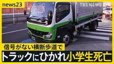 「進路の遠くの方を見ていた」東京・板橋区で小5の男の子がトラックにひかれ死亡　運転していた会社員を現行犯逮捕【news23】