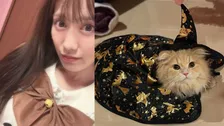 【 ももクロ 】高城れにさん　愛猫ダブルゼータくんと「Happy Halloween」　フォロワー反応「ちゅーるあげたい」「全部見せて！」