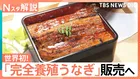 「完全養殖うなぎ」29日から一般向け販売へ、国産うなぎは前年比4割安！今後の価格はどうなる？【Nスタ解説】