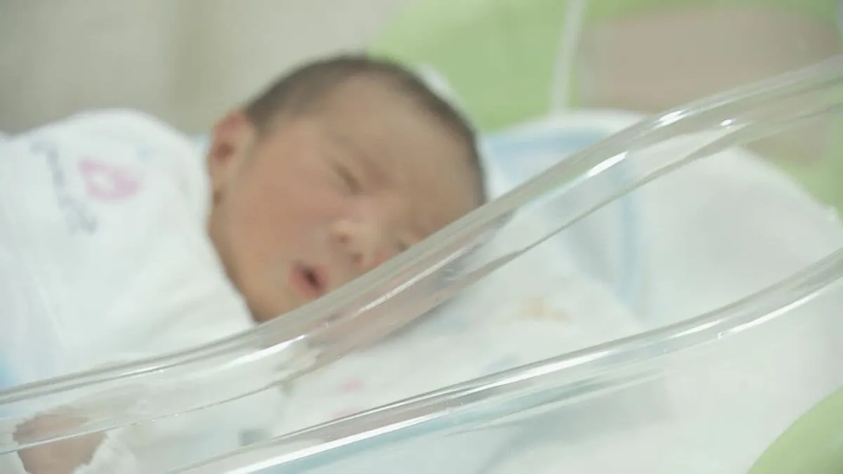 【速報】2024年の出生数は68.6万人　初めて70万人下回る　合計特殊出生率は「1.15」で過去最低更新