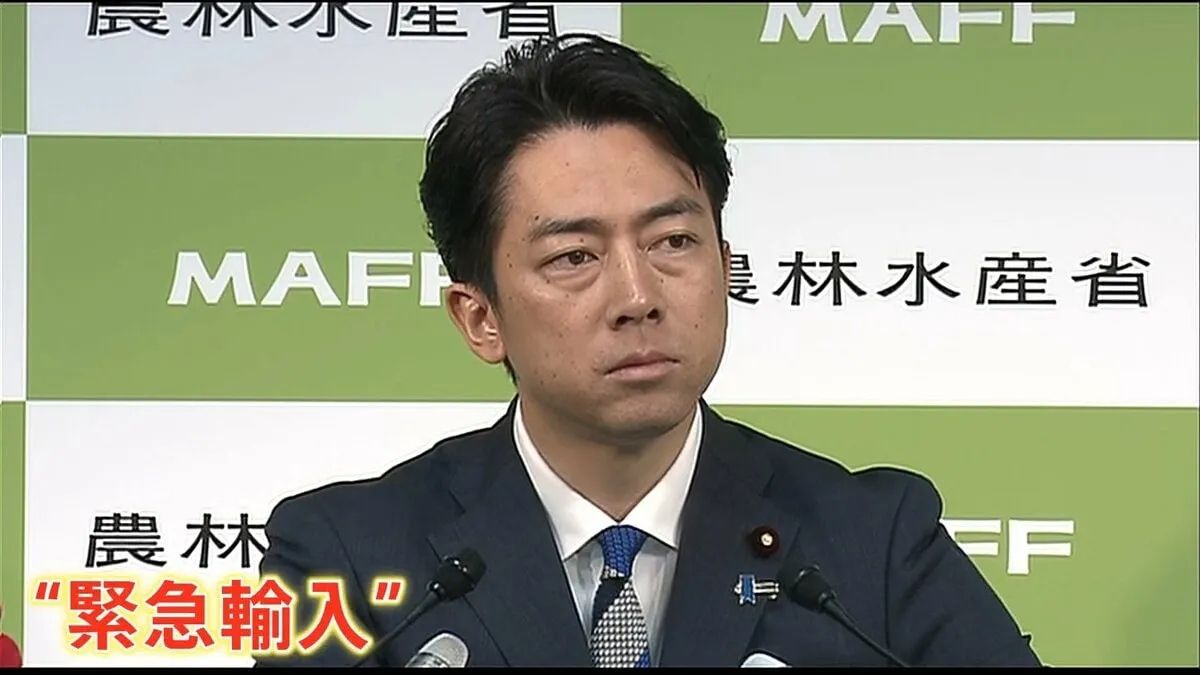 コメの「緊急輸入も検討」小泉農水大臣が発言　備蓄米が尽きた場合 「輸入米」に活路か？