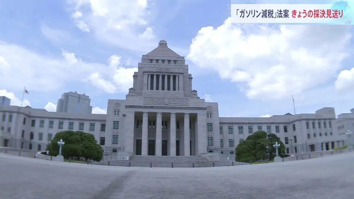 あす会期末 “ガソリン減税”法案めぐり参院委員会で質疑も散会できょうの採決見送り　野党側は委員長解任決議案を提出も…　異例の土曜日審議