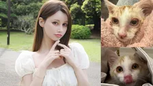 【ダレノガレ明美】虫取り網で保護した子猫「ララ」くんの現在を報告！ わずか10日で見違える姿にファン大絶賛「本当にキレイになった」