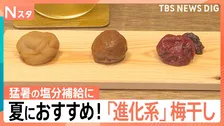 “中華風”に“果汁漬け”まで…食欲刺激！猛暑の塩分補給に「進化系」梅干し　簡単“コンロキャンセル”レシピも【Nスタ】