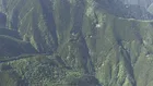 【速報】登山中にクマに襲われ重傷　ロシア国籍の30代男性が腕や頭などけが　東京・奥多摩町　警視庁