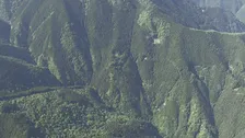 【速報】登山中の男性がクマに襲われ重傷　東京・奥多摩町　警視庁