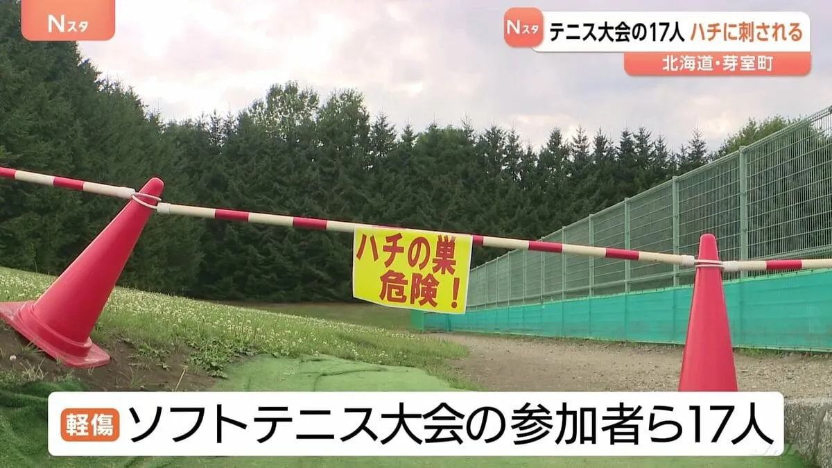 公園のテニスコートで17人がハチに刺され軽いけが　北海道・芽室町