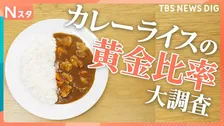 ごはんとルーの美味しいバランスとは？カレーライスの“黄金比率”を調査！【それスタ】