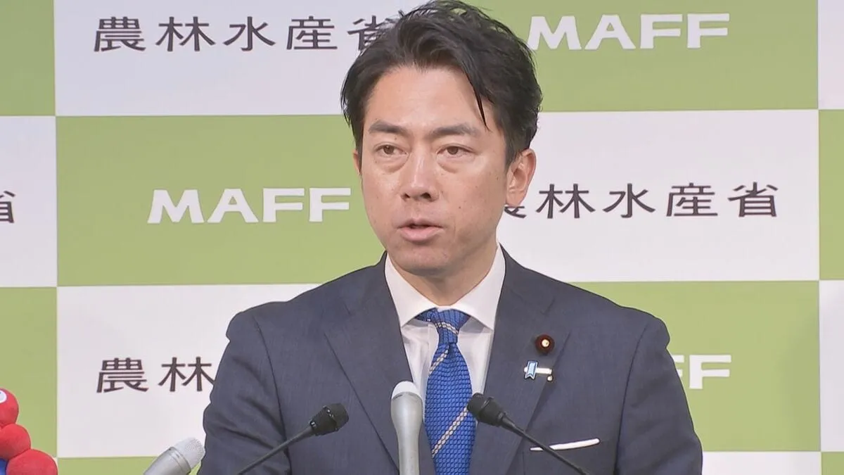 コメの転売を禁止する政令改正を閣議決定　小泉大臣「緊急措置として導入」