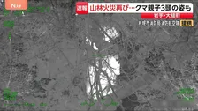 岩手・大槌町の山林火災　調査で3か所の熱源確認　周辺には特殊カメラで捉えた3頭のクマも