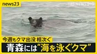 漁師が見た“海を泳ぐクマ” 今週も各地で相次いだクマ出没…政府は人の生活圏からの排除に向け「クマ被害対策パッケージ」取りまとめ【news23】