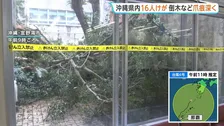 【台風6号】鉄骨がむき出しに…沖縄県内各地で倒木被害など相次ぐ 台風により16人けが　本島と周辺離島で1万戸あまり停電