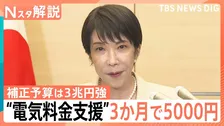 電気・ガス代「3か月で5000円」支援へ　 ガソリン補助や“ナフサ目詰まり”に政府の次の一手は【Nスタ解説】