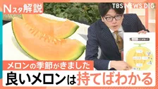 おいしいメロンの見分け方、ツルに近い上部と、下部のおしりではどちらが甘い？【Nスタ解説】
