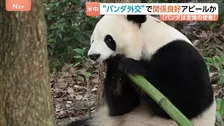 米アトランタに中国からジャイアントパンダ2頭到着「新たな楽しみが増えた」中国は“パンダ外交”でアメリカとの関係良好アピールか