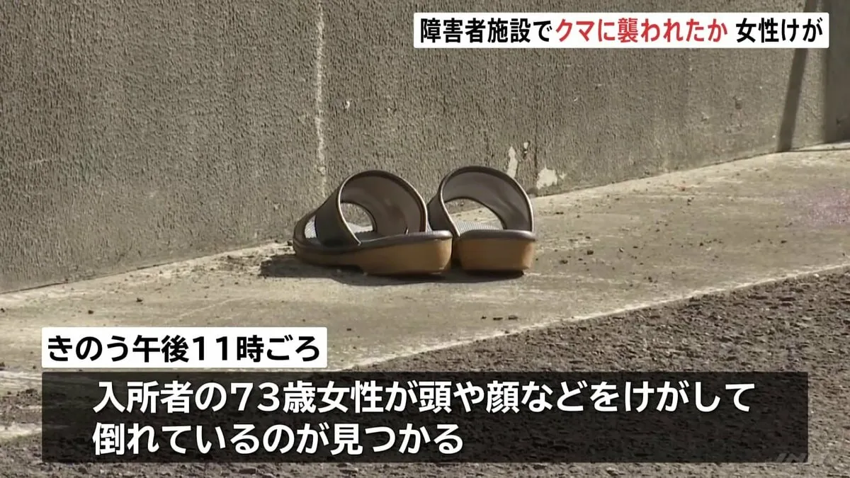 秋田の障害者施設で入所女性（73）がクマに襲われたか　体長約1メートルのクマに襲われる様子が防犯カメラに　搬送時会話できず