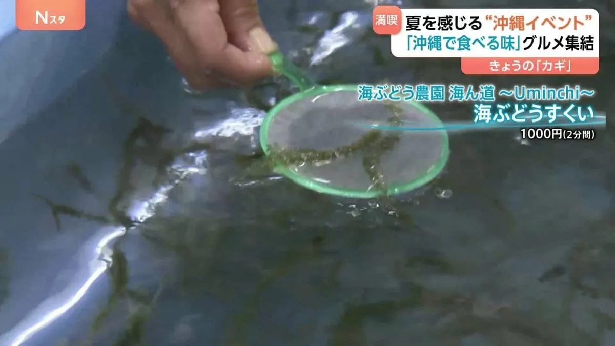 沖縄をまるごと体感　ソーキそばにサーターアンダギー、一風変わった『海ぶどうすくい』は「金魚よりすくいやすい」東京・池袋で物産展＆ライブイベント開催
