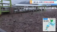 記録的大雨で大量の流木が漂着　高速船が接岸できず欠航するなど生活に影響　鹿児島・屋久島町 宮之浦港
