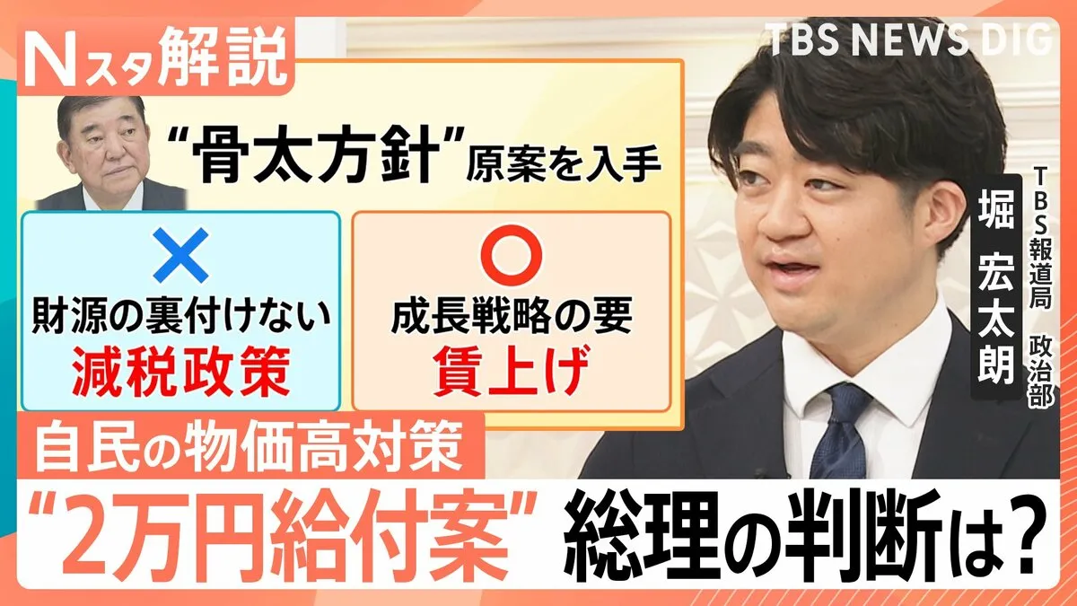 「財源の裏付けのない減税政策はやらない」自民党の物価対策“減税なし”のワケ　“2万円給付案”も浮上　総理の判断は【Nスタ解説】