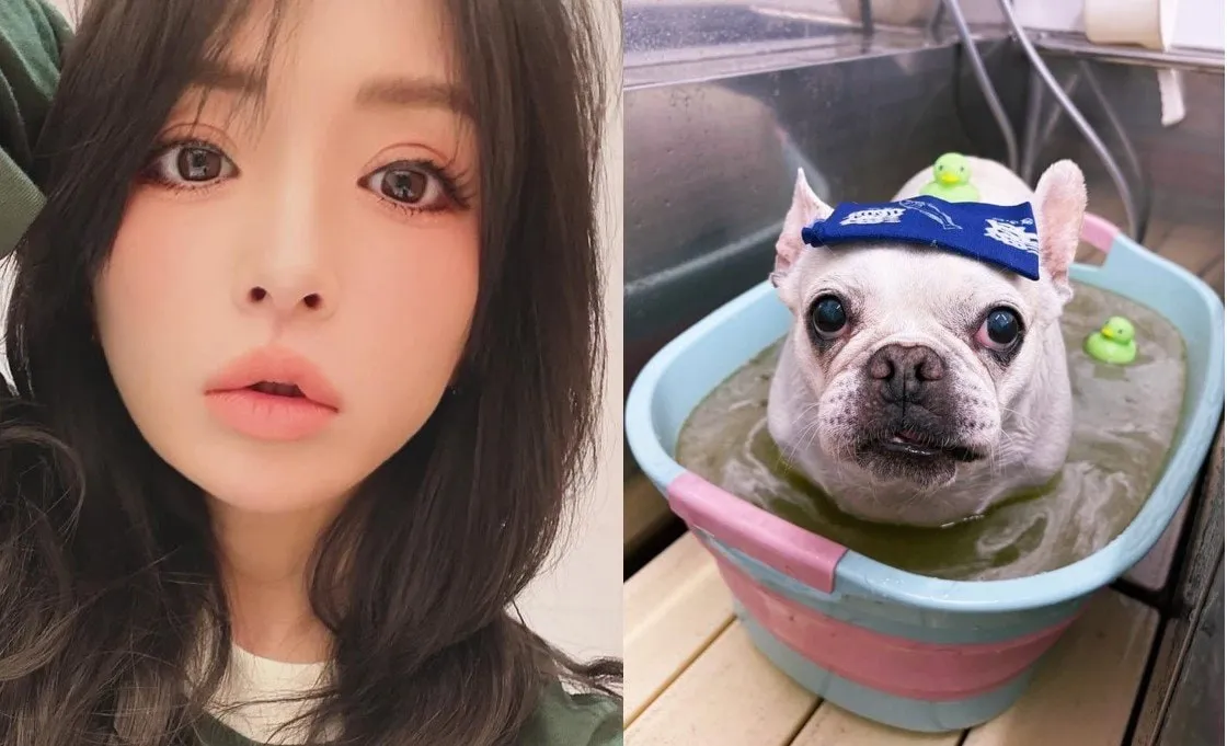【 浜崎あゆみ 】　愛犬の写真を公開　「シャンプーと爪切りに行ったら、薬用バスにも入れてもらったらしく、帰宅してみんな爆睡」